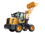 Luxury large crane crane